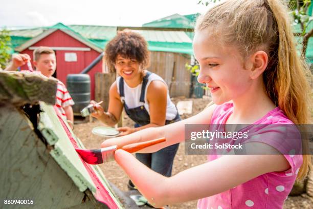 schilderij van een kippenhok op de boerderij - kippenhok stockfoto's en -beelden