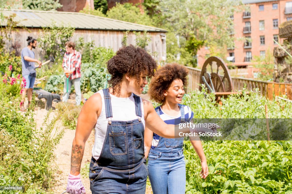 Exploring the Farm