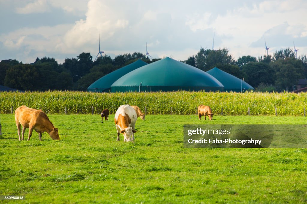 Biogas