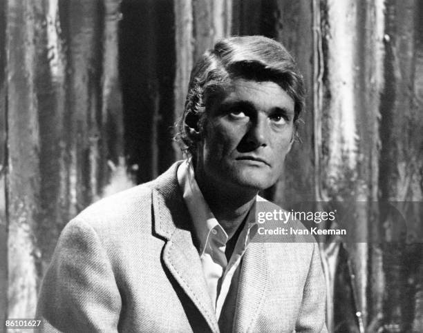 55 Pete Murray Dj Stock Photos, HighRes Pictures, and Images Getty