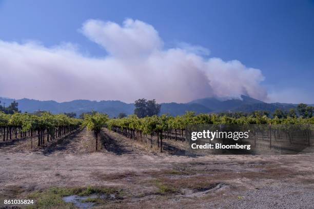 Smoke from wildfires rise above the Rudd Winery vineyard in Napa, California, U.S., on Friday, Oct. 13, 2017. Wildfires that tore through northern...