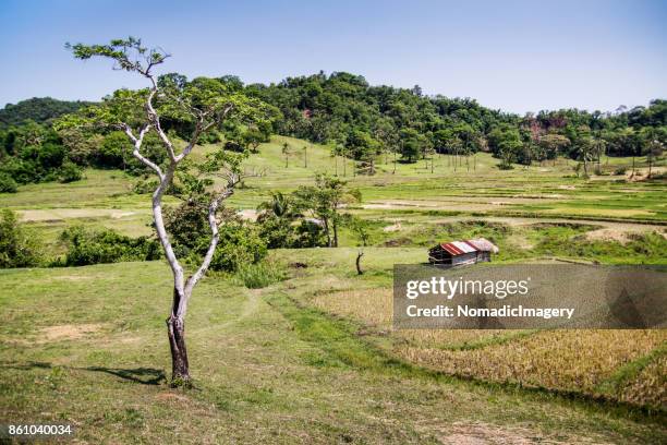 Countryside In Philippines 753 Nomadicimagery Stock Photos, High-Res Pictures, and Images - Getty ...