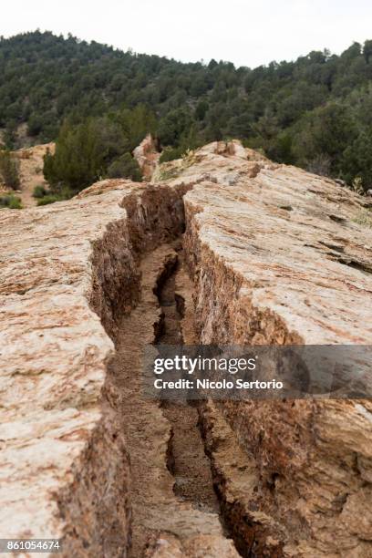 546 Rocks Tree Split Stock Photos, High-Res Pictures, and Images ...