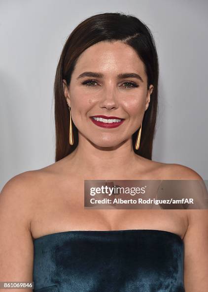 Actor Sophia Bush attends the amfAR Gala Los Angeles 2017 at Ron