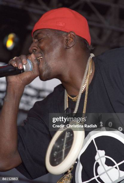 Photo of Flavor FLAV and PUBLIC ENEMY; Flavor Flav performing live on stage at the Vegoose Festival, Sam Boyd Stadium, Las vegas