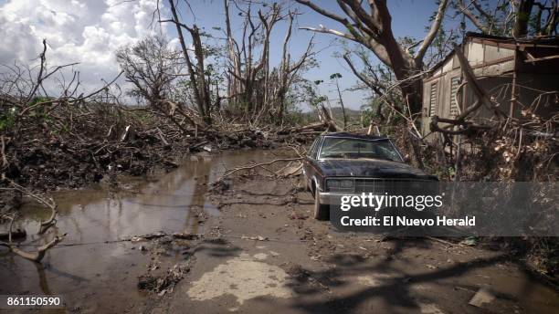 Mud puddles of water and a washed out car litter the front of Hernan Cabrera's house in the Media Luna neighborhood of Toa Baja, Puerto Rico, on...