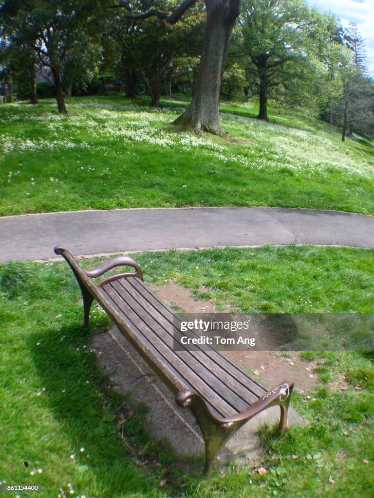 View of  city park and party with bench seat and path