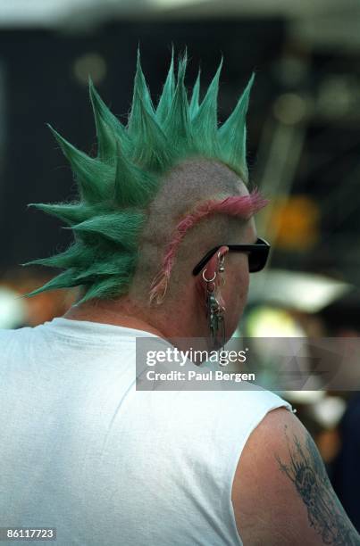 Photo of PUNKS, punk with dyed mohican