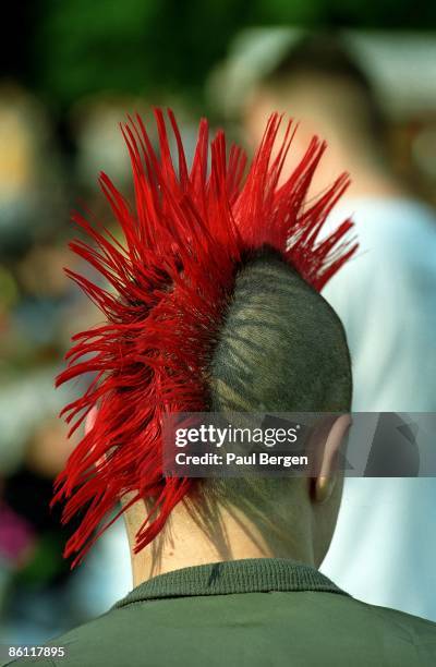 Photo of PUNKS, punk with dyed mohican
