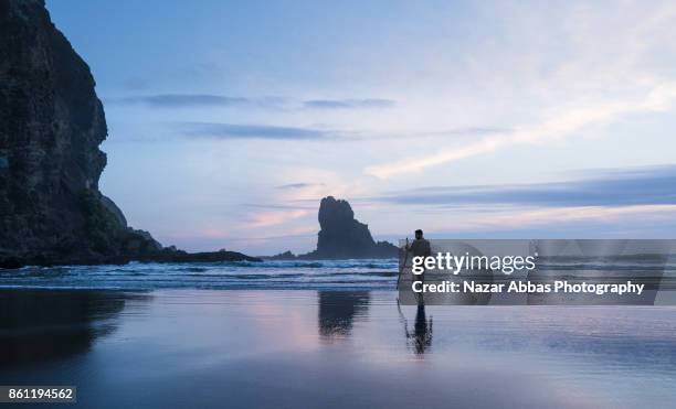 i like water to chase me on beach. - maori photos et images de collection