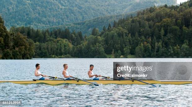 quattro atleti maschi che remano sul lago nel tardo pomeriggio - sweep rowing foto e immagini stock