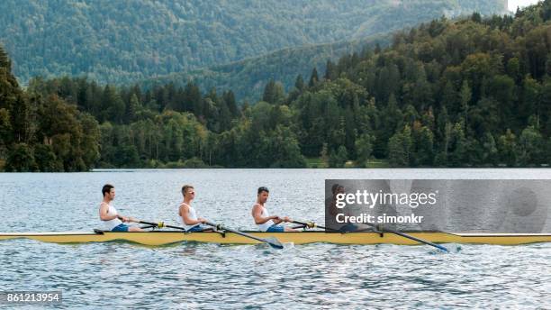 fyra manliga idrottare rodd över sjön i sena eftermiddagen - sweep rowing bildbanksfoton och bilder