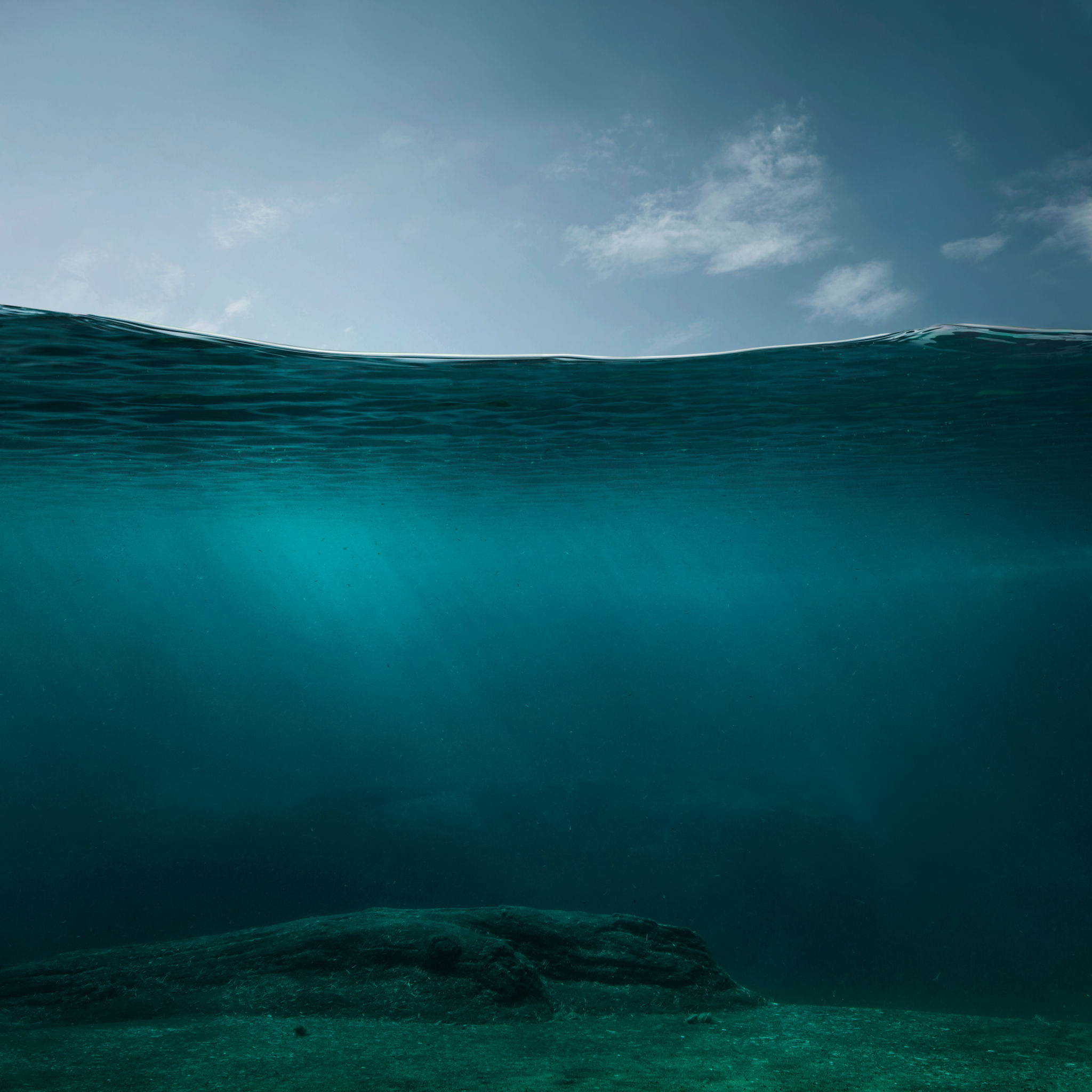 dive center