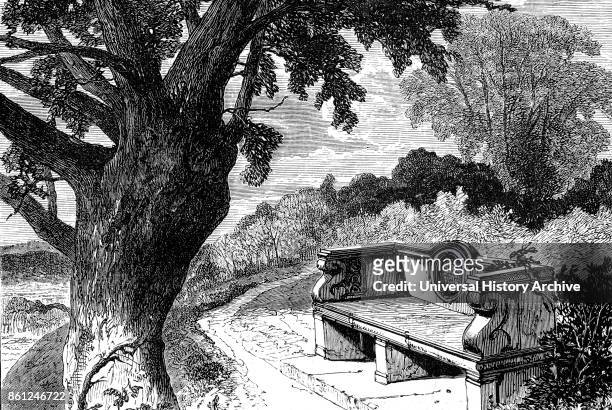 Illustration depicting the spot in Holwood Park where William Wilberforce and William Pitt the Younger decided to raise the question of abolition...