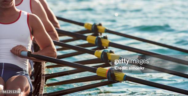 three male athletes rowing across lake in late afternoon - remar imagens e fotografias de stock