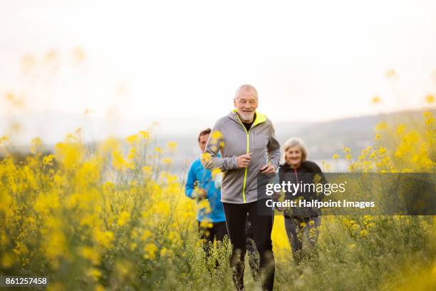 group of seniors running outside on the meadow. - senior men group stock pictures, royalty-free photos & images