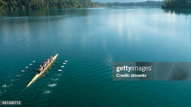 vier mannelijke atleten sculling op meer in de zon - sculling stockfoto's en -beelden