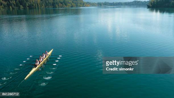 four male athletes sculling on lake in sunshine - remar imagens e fotografias de stock