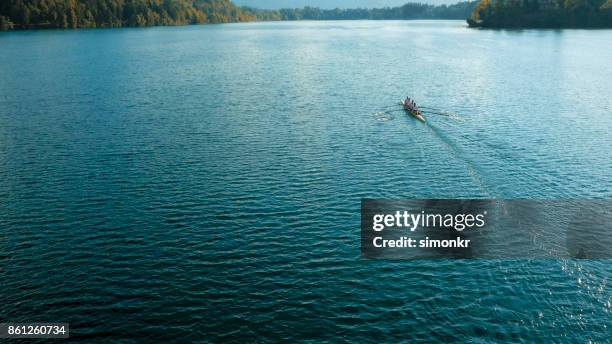 fyra manliga idrottare sculling på sjön i solsken - sweep rowing bildbanksfoton och bilder