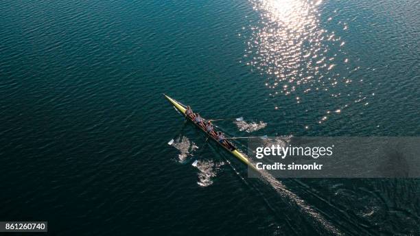 four male athletes sculling on lake in sunshine - remar imagens e fotografias de stock