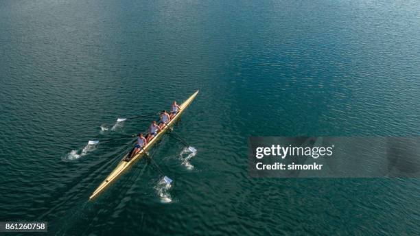 four male athletes sculling on lake in sunshine - sweep rowing stock pictures, royalty-free photos & images