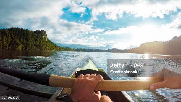 atleta che sculling sul lago soleggiato - sweep rowing foto e immagini stock