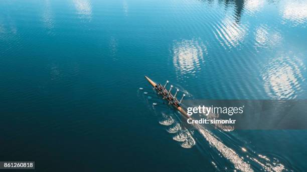 four male athletes sculling on lake in sunshine - sculling stock pictures, royalty-free photos & images