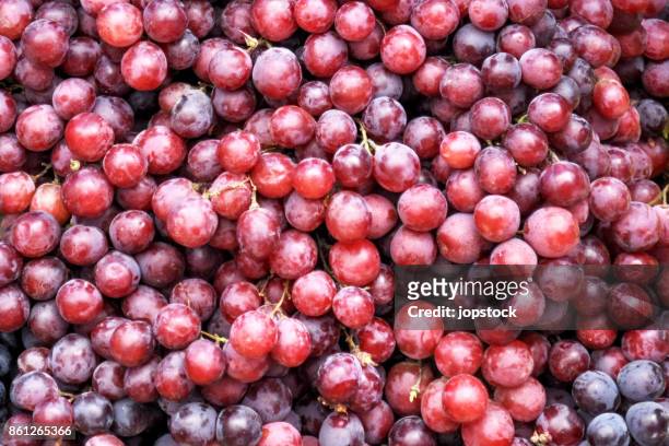 red grapes background - grappe de raisin photos et images de collection