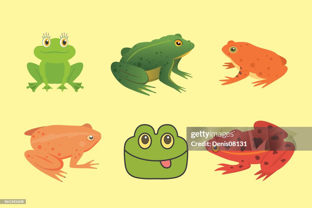 Conjunto De Anfibios Exóticos Ranas En Diferentes Estilos De Dibujos Animados Vector Ilustración Aislada Animales Tropicales Ilustración de stock - Getty Images Conjunto De Anfibios Exóticos Ranas En Diferentes Estilos De Dibujos Animados Vector Ilustración Aislada Animales Tropicales Ilustración de stock - Getty Images