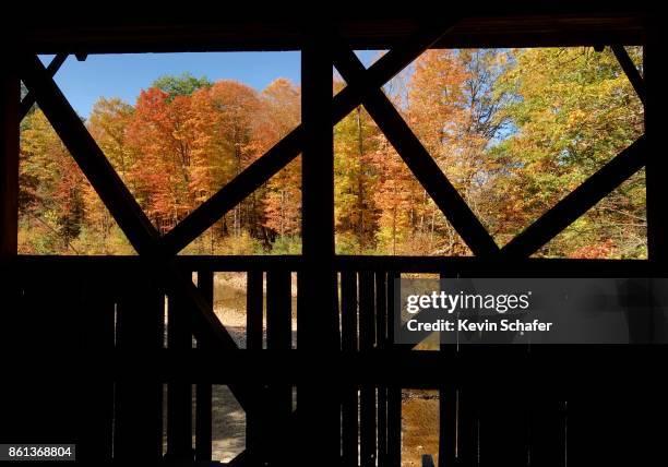 changing leaves, autumn, maine - bethel maine photos et images de collection