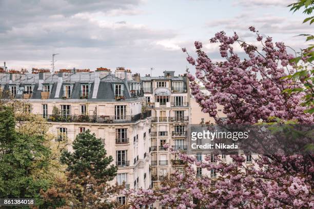 condominio parigino in primavera - parigi foto e immagini stock