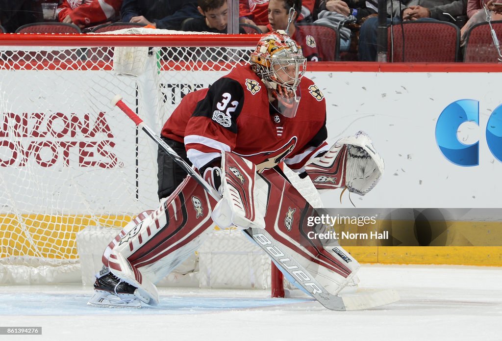 Detroit Red Wings v Arizona Coyotes