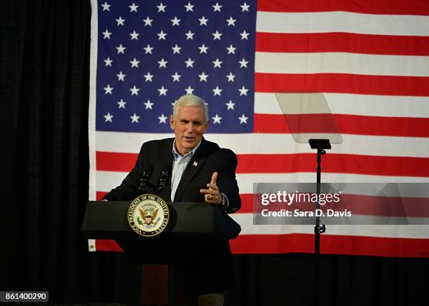 Vice President Mike Pence speaks during a campaign rally for gubernatorial candidate Ed Gillespie, R-VA, at the Washington County Fairgrounds on...