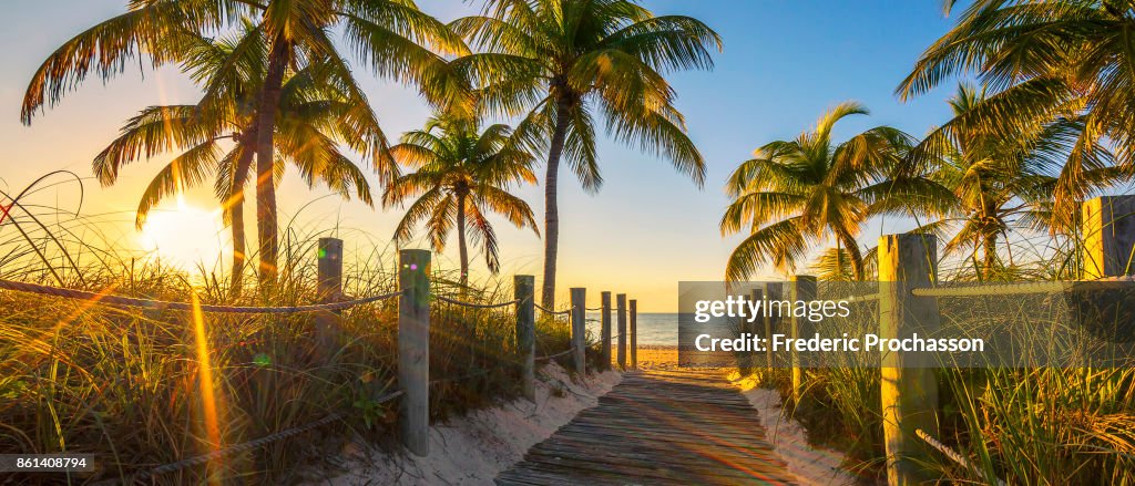 Passage to the beach at sunrise