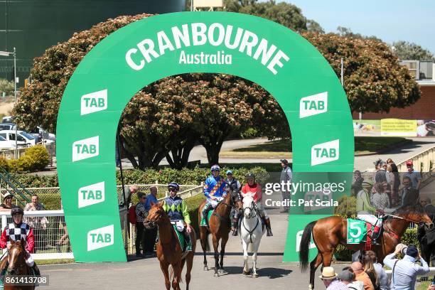 Michael Dee returns to the mounting yard on Prepare to Win after winning Wilson Medic One SV 3YO BM64 Handicap, at Cranbourne Racecourse on October...