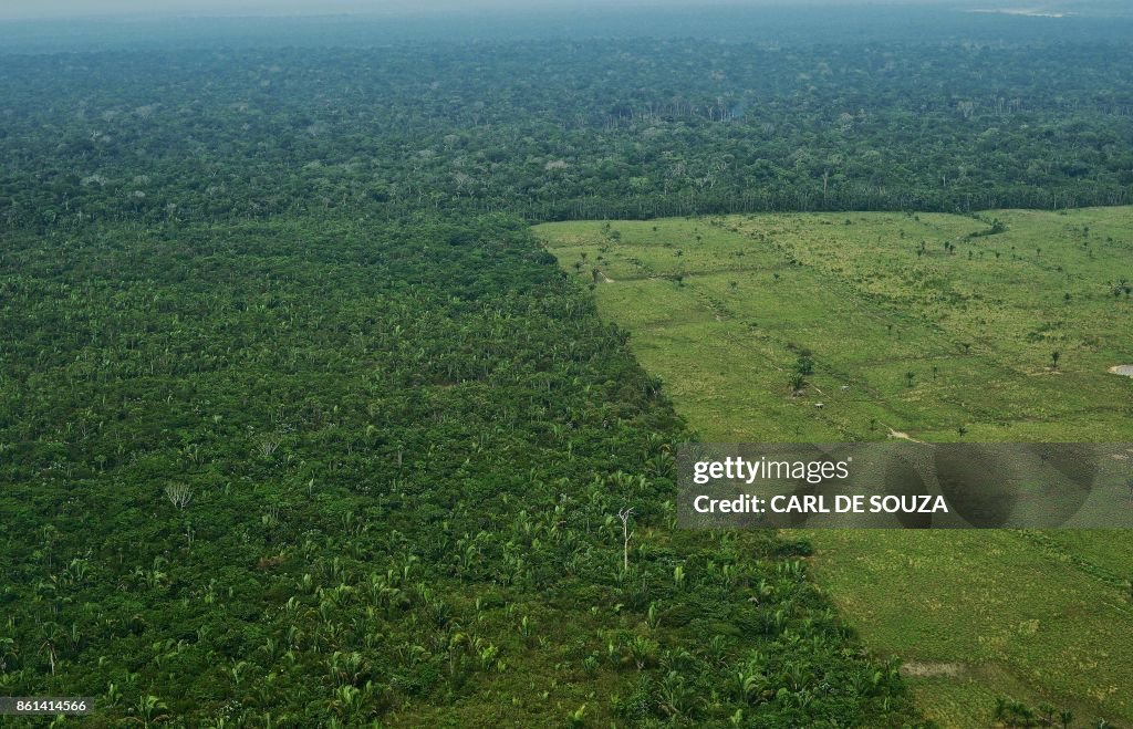 BRAZIL-AMAZON-DEFORESTATION