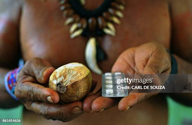 Chief Marcelino Apurina, of the Aldeia Novo Paraiso in the Western Amazon region of Brazil, near Labrea holds a Babacu fruit and ranitidine...