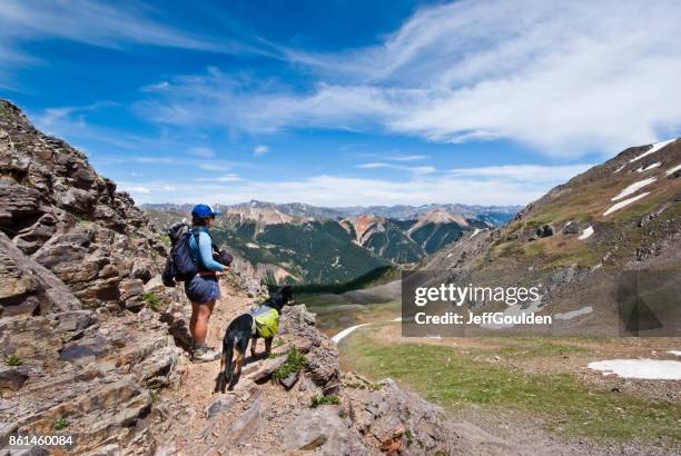 wandelaar en hond kijken naar de weergave - san juan mountains stockfoto's en -beelden