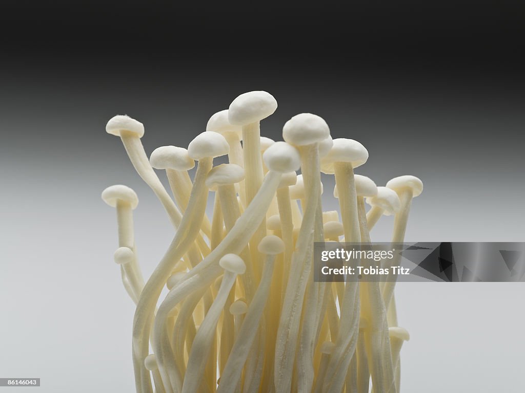 Enokitake mushrooms