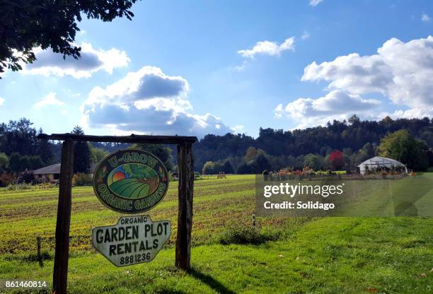 organic community garden plots - langley british columbia stock pictures, royalty-free photos & images