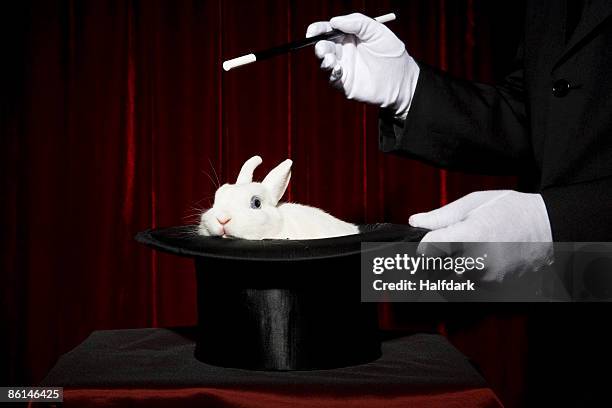 the gloved hands of a magician performing a magic trick with a rabbit in a top hat - goochelshow stockfoto's en -beelden