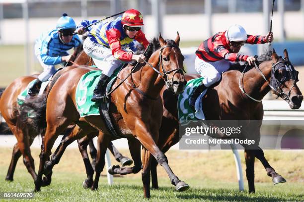 Jockey Damian Lane riding Rock 'n' Gold wins race 7 the Procon Developments Apache Cat Classic during Cranbourne Cup Day at on October 15, 2017 in...