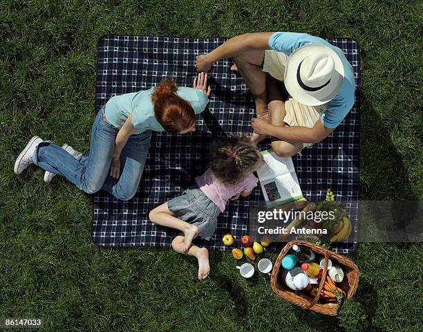 family having a picnic on grass - picnic overhead stock pictures, royalty-free photos & images