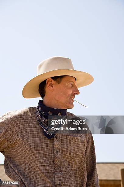 profile of a cowboy chewing on a piece of straw - neckerchief stock pictures, royalty-free photos & images