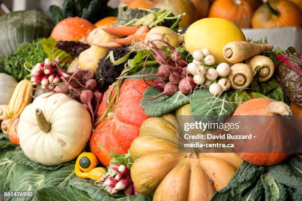 fall vegetables on display.  squash, pumpkin, carrots, beets, turnips, kale, and curries. - pemberton valley stock pictures, royalty-free photos & images