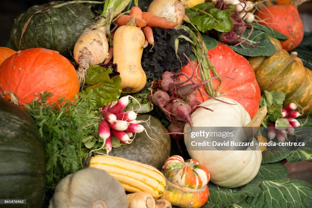Fall Vegetables Fall Vegetables On Display Squash Pumpkin Carrots Beets Turnips Kale ...