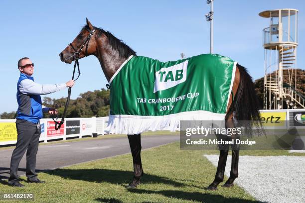 Strapper Alex Cans with Folkswood after winning race 8 the TAB Cranbourne Cup during Cranbourne Cup Day at on October 15, 2017 in Cranbourne,...