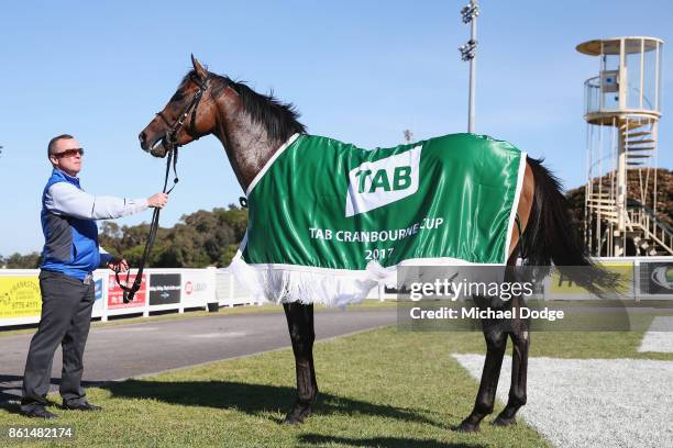 Strapper Alex Cans with Folkswood after winning race 8 the TAB Cranbourne Cup during Cranbourne Cup Day at on October 15, 2017 in Cranbourne,...