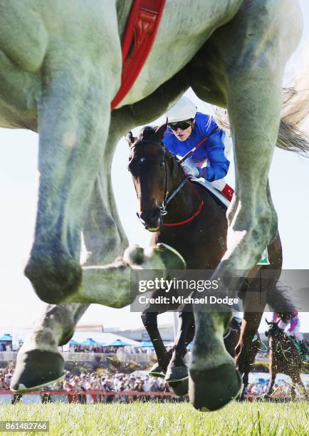 Jockey Craig Williams is seen riding Nozomi in race 8 the TAB Cranbourne Cup during Cranbourne Cup Day at on October 15, 2017 in Cranbourne,...