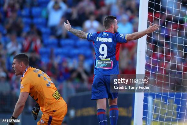 Roy O'Donovan of the Jets celebrates a goal during the round two A-League match between the Newcastle Jets and the Perth Glory at McDonald Jones...